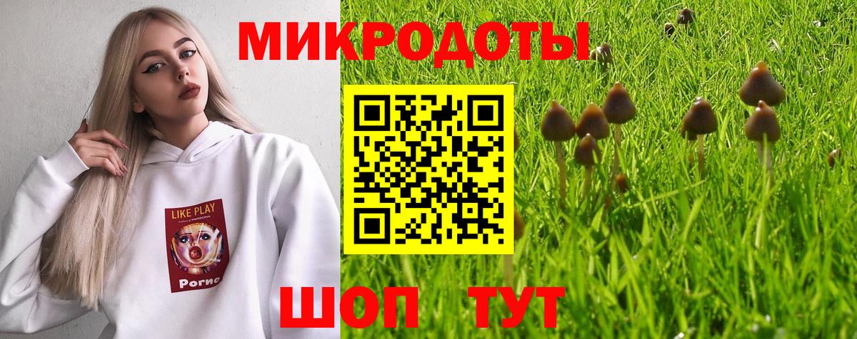 Салават  Псилоцибиновые грибы Cubensis  купить закладку  Вход с VPN 